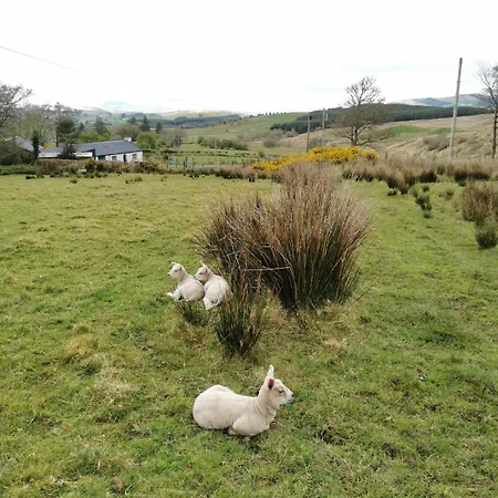 Charlie's House Relaxing Near Holiday home Letterkenny