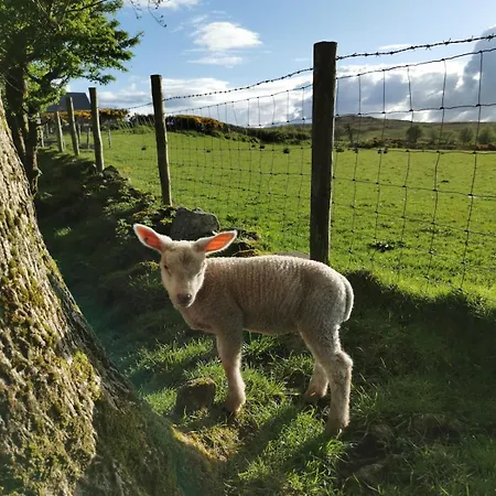 Holiday home Charlie's House Relaxing Near