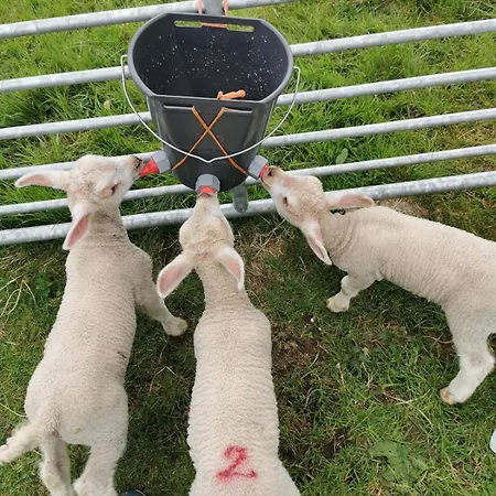 Holiday home Charlie's House Relaxing Near Letterkenny