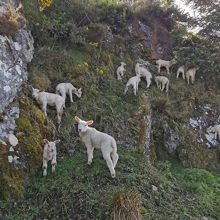 Charlie's House Relaxing Near Holiday home *