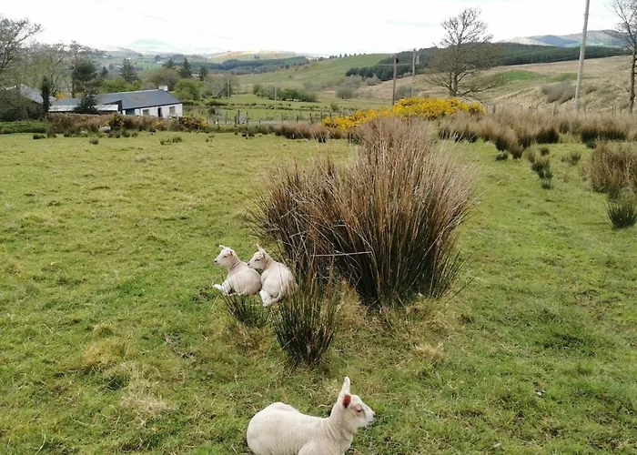 Charlie's House Relaxing Near Casa de Férias Letterkenny