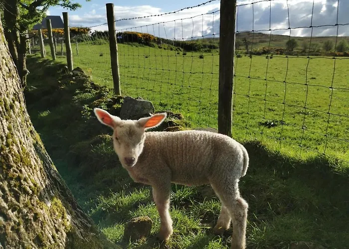 Casa vacanze Charlie's House Relaxing Near