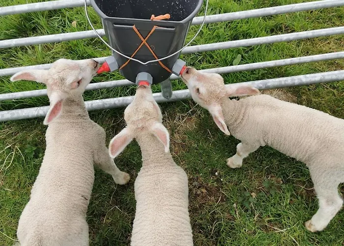 Casa vacanze Charlie's House Relaxing Near Letterkenny