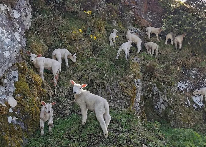 Charlie's House Relaxing Near Casa vacanze *